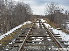 Производитель объяснил, почему на Урале во время морозов остановили поезда "Финист"