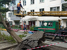 Эксперт прокомментировал ситуацию с тайфунами