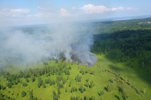 Главный лесничий Южного Урала Виктор Блинов в 63 года оставил свой пост