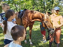 Переселенцы из курского приграничья благодарят сограждан за поддержку
