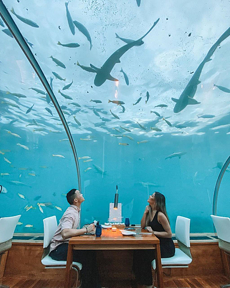 Ресторан Ithaa визитная карточка курорта Conrad Rangali на Мальдивах. Заведение дает возможность гостям во время ужина насладиться красотой подводного мира