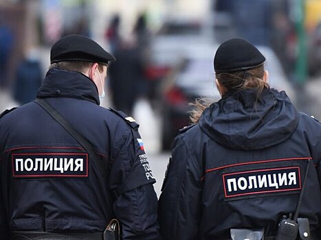 Концертные залы, цирки, музеи, кинотеатры в Москве усилили меры безопасности после теракта