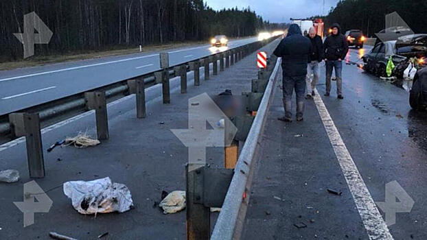 Людоедство и убийство: ДТП с трупом помогло раскрыть два преступления
