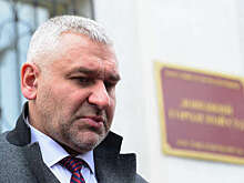 Минюст: иноагент Фейгин получал деньги из Ирландии, Украины, Польши и Германии