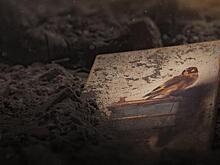 Искусство видеть, зарабатывать деньги и менять судьбы: кинопремьеры, которые ждут Ростов на этой неделе