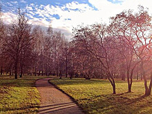Синоптики рассказали о пике потепления в Москве