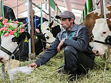 В Москве на ВДНХ завершил работу крупнейший сельскохозяйственный форум «Золотая осень»