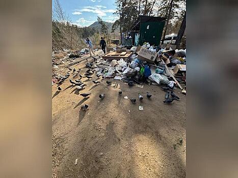 Мусорка разрастается во дворе дома в Чите