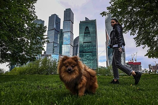 В Москве появятся современные площадки для выгула собак