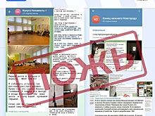 В правительстве призвали не верить фейкам о терактах в школах