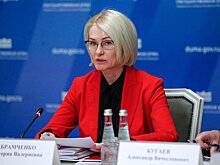 Абрамченко и делегация ГД посетили Джибути с рабочим визитом