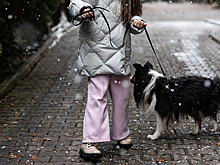 Появились подробности похищения девятилетней девочки в Смоленске