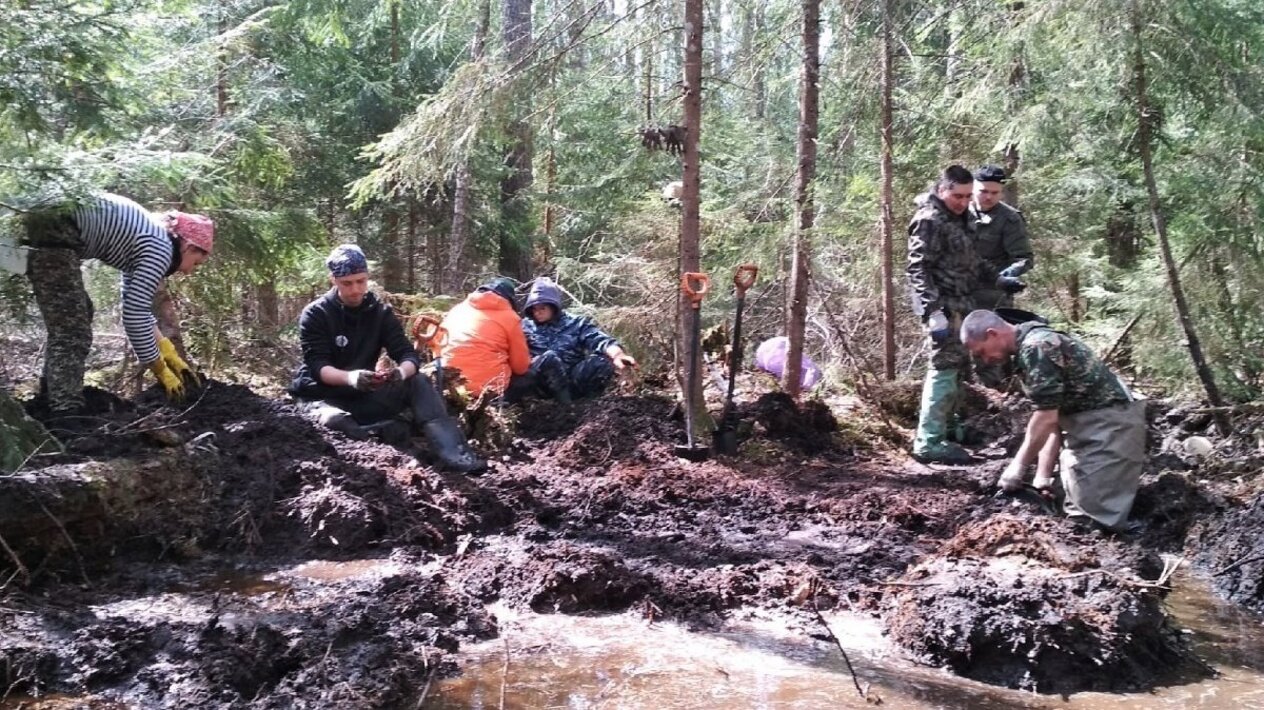 поисковый отряд красноармеец волгоград. цветы и каска солдата. найдены родные солдата. найдены родные солдата. останки солдат великой отечественной войны.