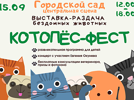 В Твери пройдёт фестиваль людей и животных: будут раздавать котиков и пёсиков
