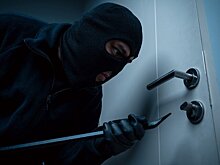 Грабители украли прах животных из ветклиники в Калифорнии