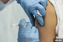 В Челябинской области началась вакцинация от гриппа