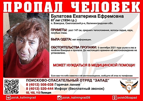 В лесу под Калининградом пропала 87-летняя пенсионерка