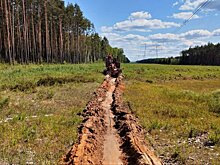 В Подмосковье перевыполнен календарный план по прочистке минполос