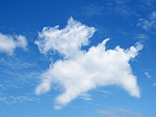 Почему люди верят в теории заговора? И как их исправить?