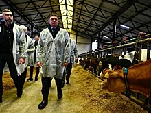 Евгений Первышов побывал на предприятиях АПК в Знаменском округе