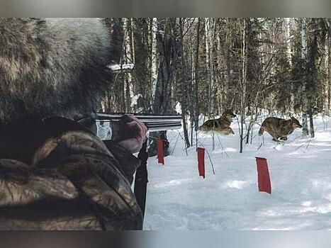 Запрет на весеннюю охоту в Забайкалье продлили до конца мая