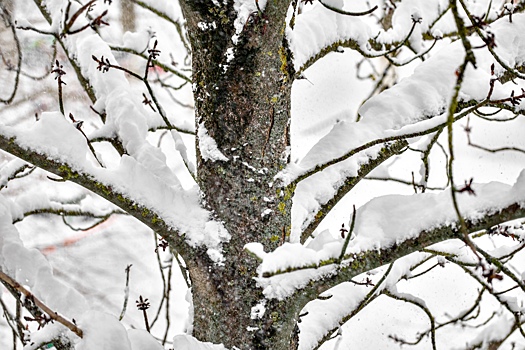 Ростовский комик высмеял работу коммунальщиков