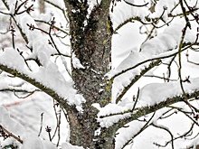 Ростовский комик высмеял работу коммунальщиков