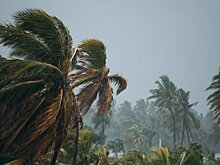 Тропический циклон "Гезани" обрушился на Мадагаскар