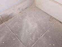 Нацполиция Украины: старшеклассник взорвал страйкбольную гранату в школе Киева