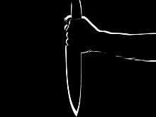 Коня на скаку остановит: сотрудница банка выгнала вооруженного налетчика