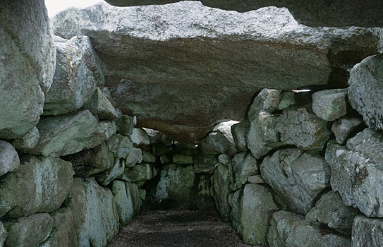 Останки жертв чумы XIV века нашли при раскопках в Лондонском Тауэре