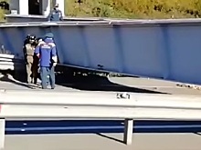 Самосвал снес пешеходный мост во Владивостоке
