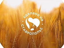 Порядка 350 предпринимателей представлено на региональном маркетплейсе Ставрополья