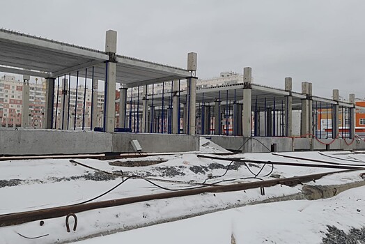 Власти НСО решили снести все концессионные школы в Новосибирске
