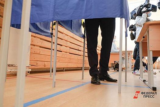 Петербург не примет участие в дистанционном голосовании на парламентских выборах