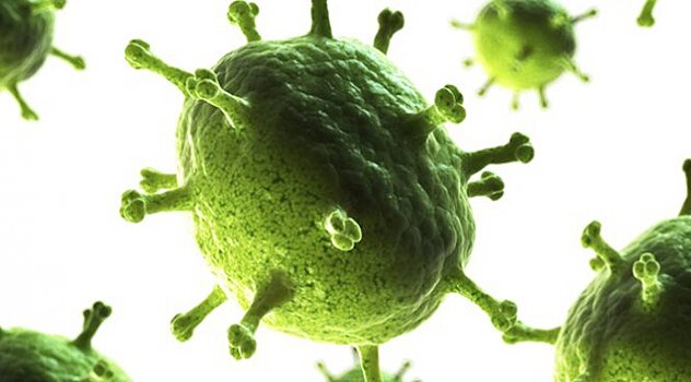 Эпидемии ротавируса становятся в Германии нормой жизни