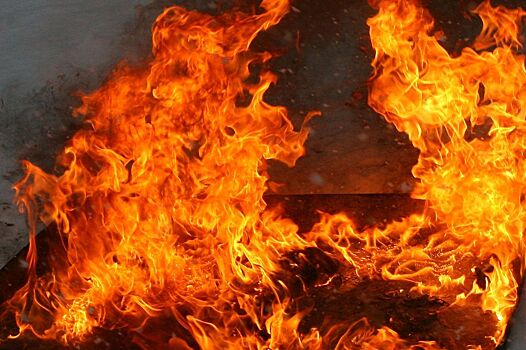 За полгода в Псковской области при пожарах погибли 48 человек