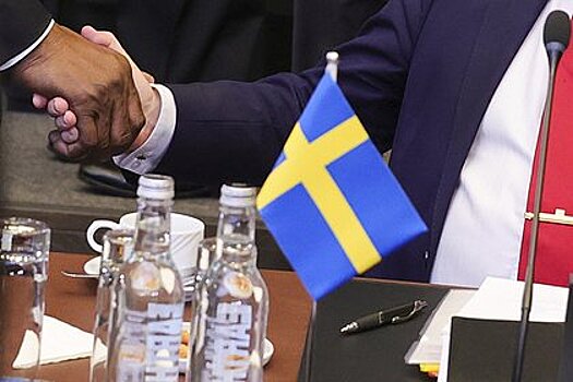 В Турции оценили шансы одобрения вступления Швеции в НАТО в ближайшее время