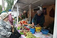 Для садоводов и огородников Ульяновска подготовили торговые площадки
