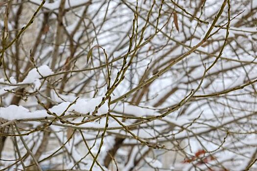 В Челябинской области ожидается усиление ветра до 20 м/с