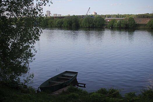 В Подмосковье расчистят 40 водоёмов по региональной программе