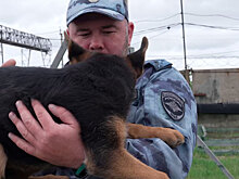 Ноябрьские кинологи получили новых щенят, которые станут в будущем офицерами