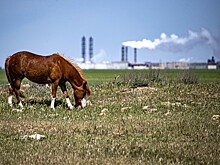 Названы самые злостные регионы-загрязнители воздуха