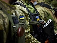 МК: Алексей Рогозин оценил переданные Киеву австралийские дроны из картона Corvo PPDS