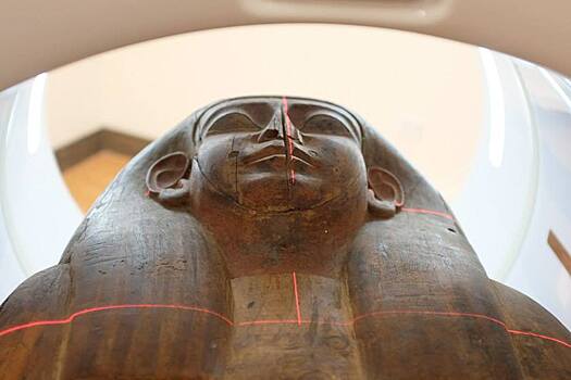 В Австралии случайно обнаружили египетскую мумию