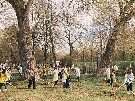Телеканал Москва 24 и "Сортировочная" проведут субботник в Нескучном саду