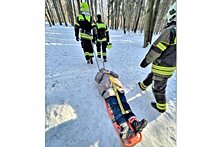 В Зеленограде спасатели помогли женщине, которая напоролась в лесу на сук
