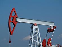 Страны ОПЕК+ сократят нефтедобычу