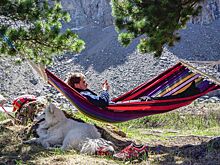 Что известно о гостиницах, отелях и глэмпингах в Прикамье