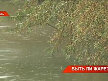 Синоптики рассказали, каким будет лето в этом году — видео